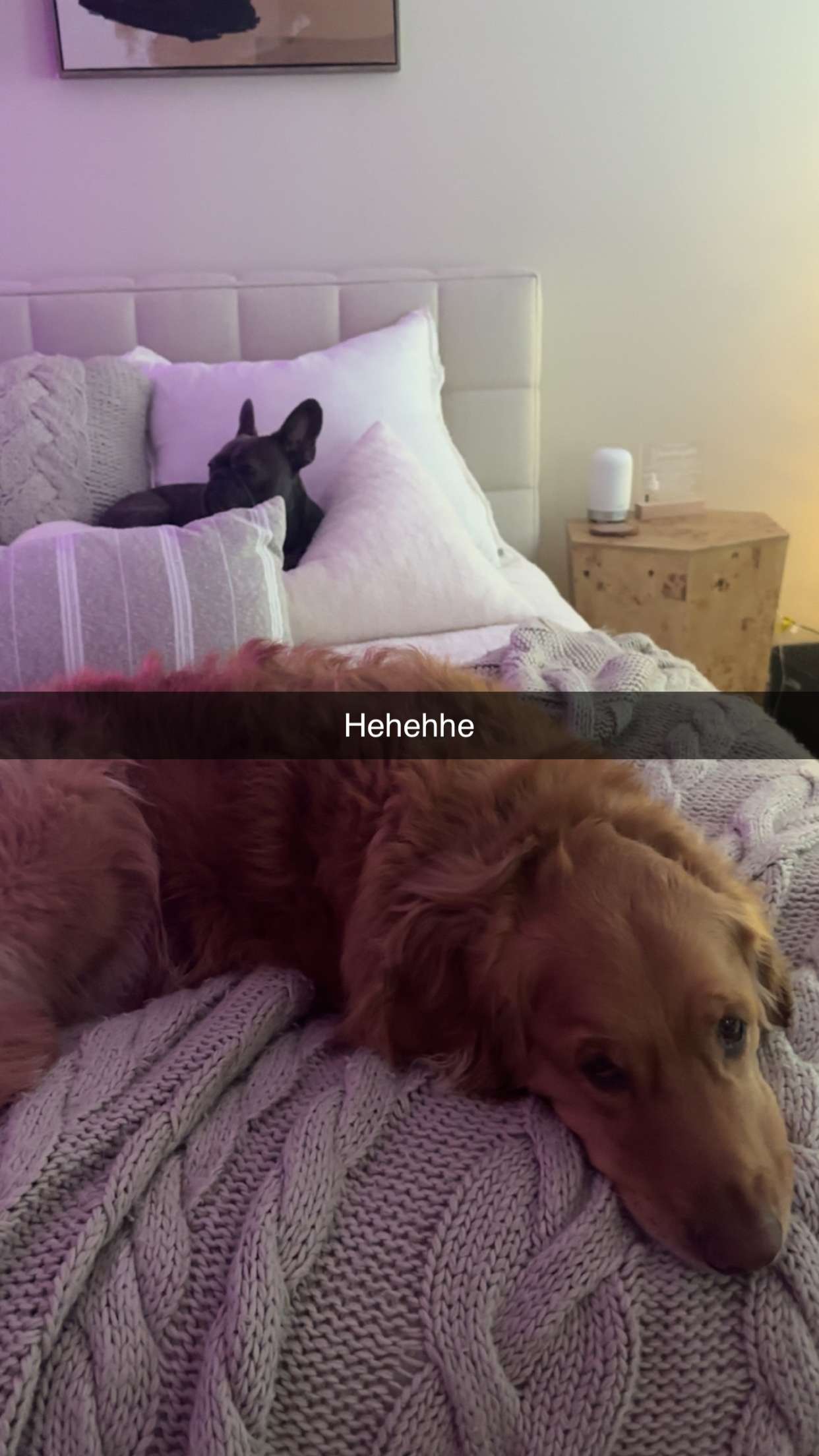 kylaayese snapchat image archive image