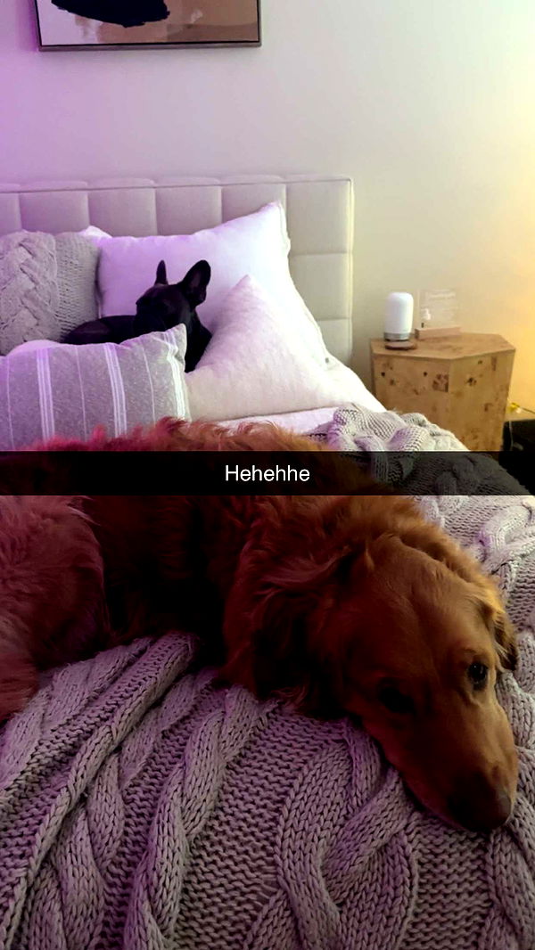 kylaayese image ~ Altpins