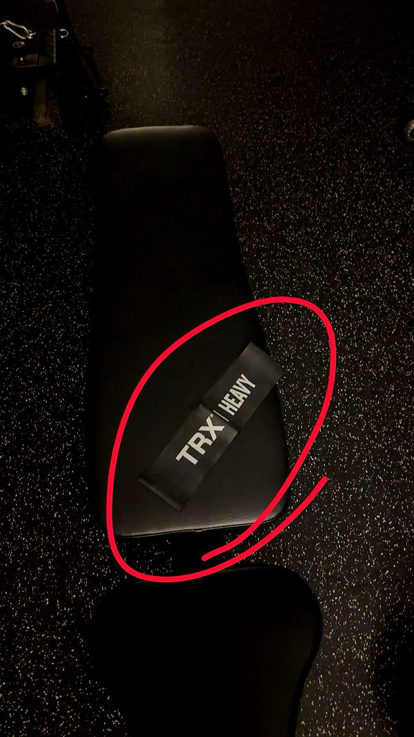 kylaayese image ~ Altpins