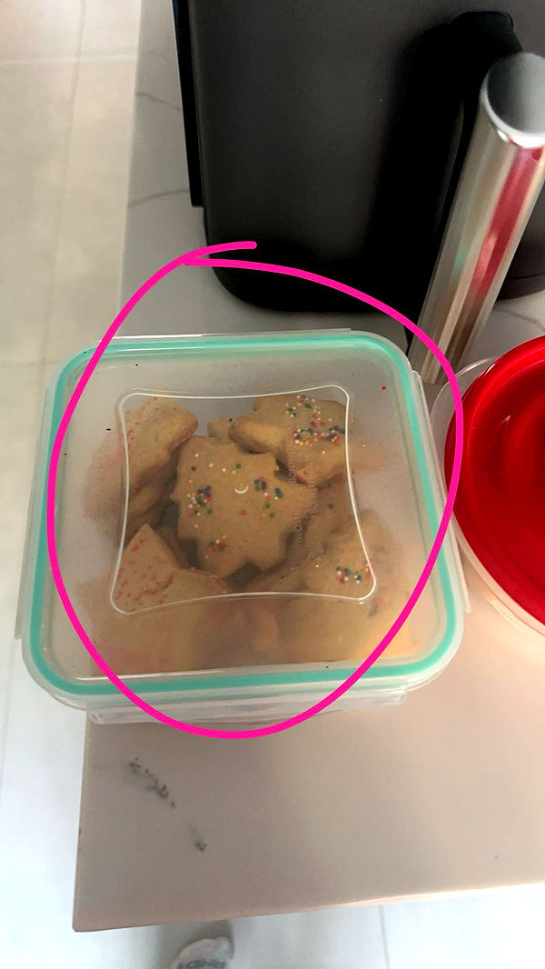 kylaayese image ~ Altpins