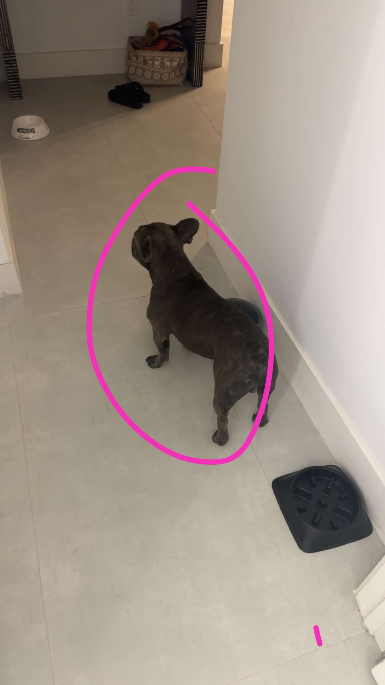 kylaayese snapchat image archive image