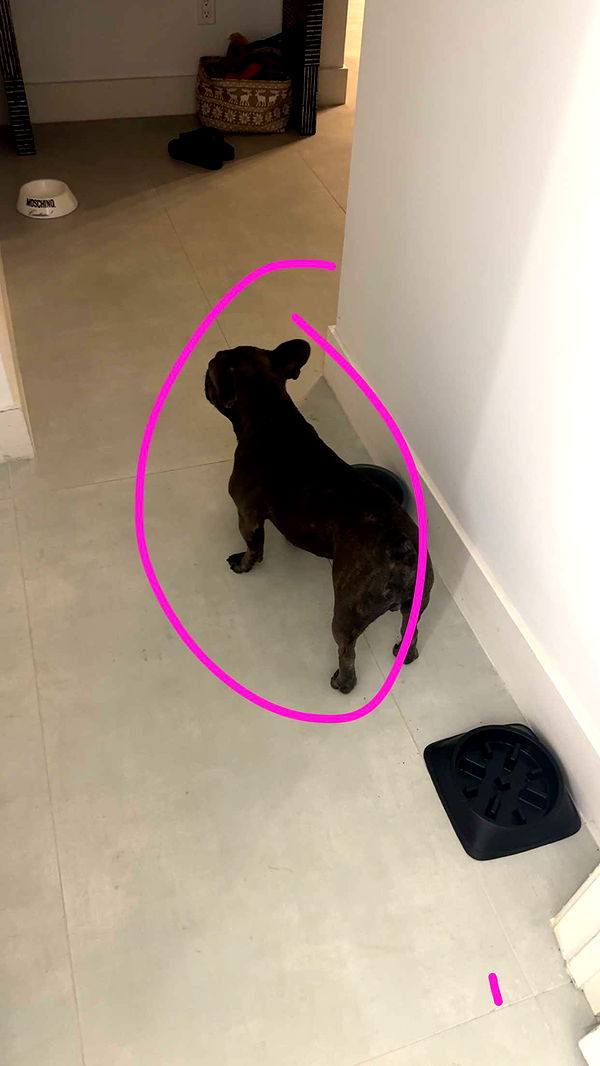 kylaayese image ~ Altpins