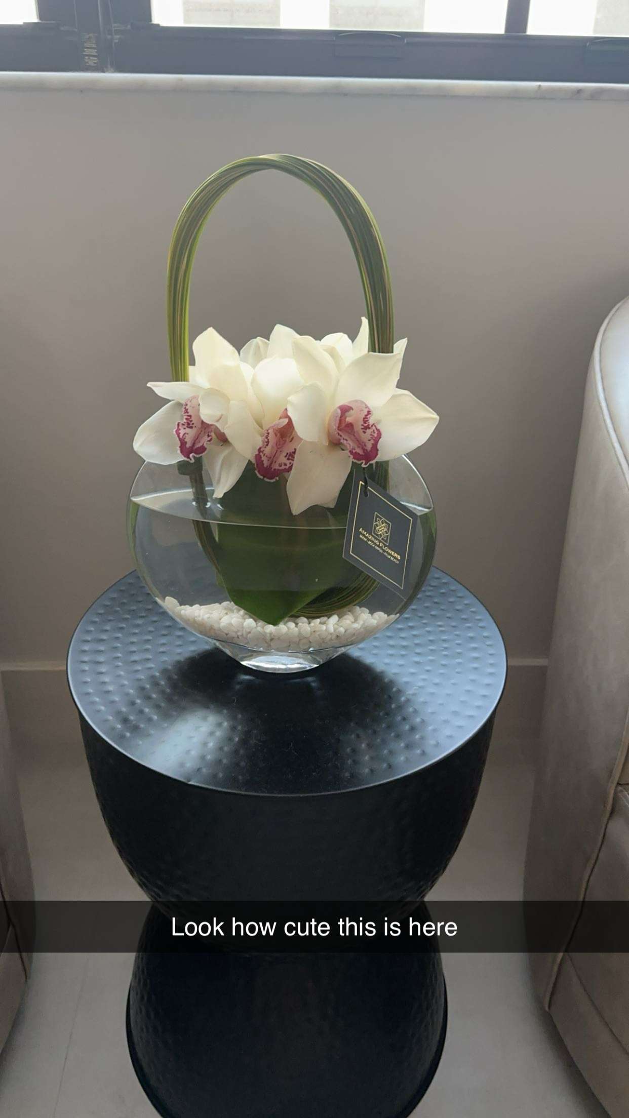 kylaayese snapchat image archive image