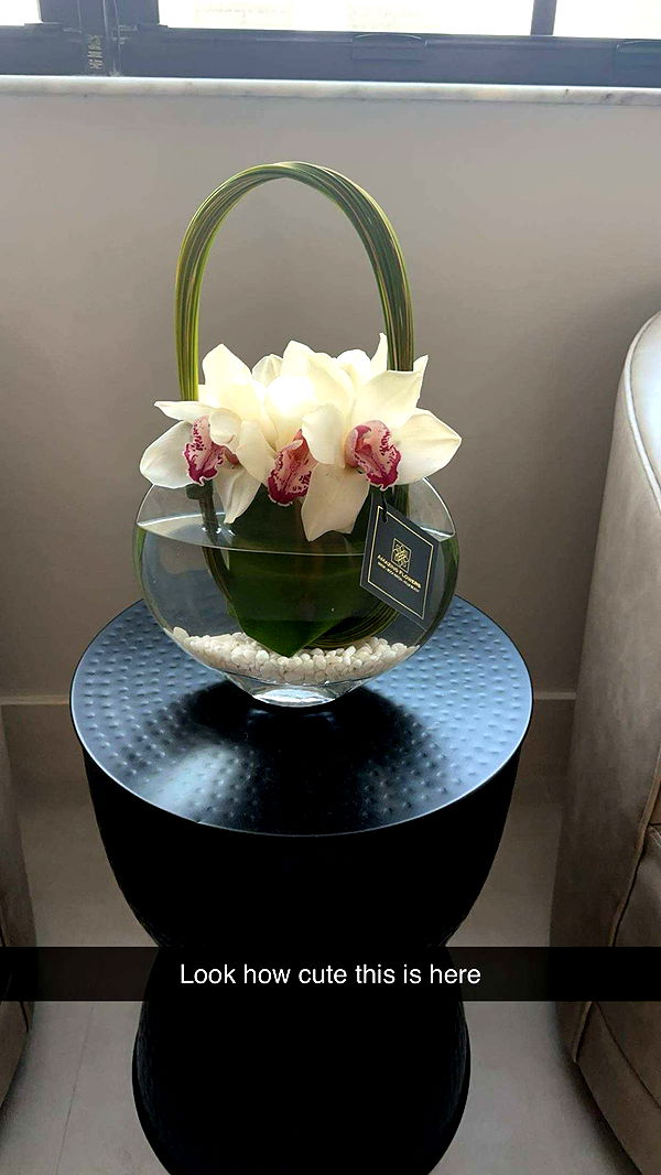 kylaayese image ~ Altpins