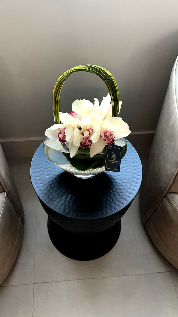 kylaayese image ~ Altpins