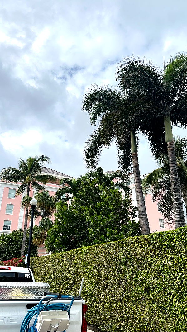 kylaayese image ~ Altpins