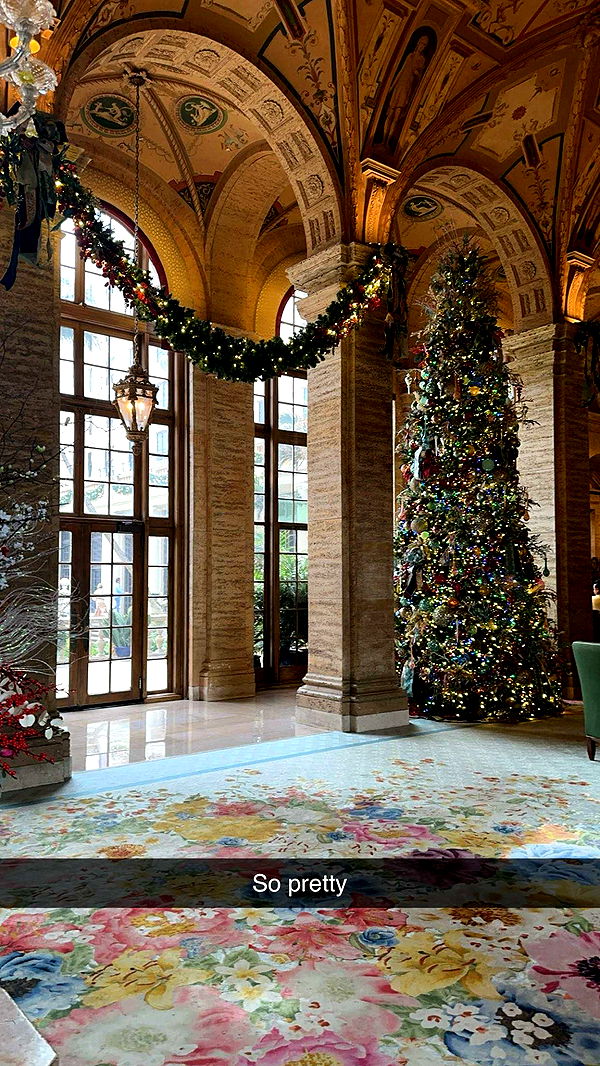 kylaayese image ~ Altpins