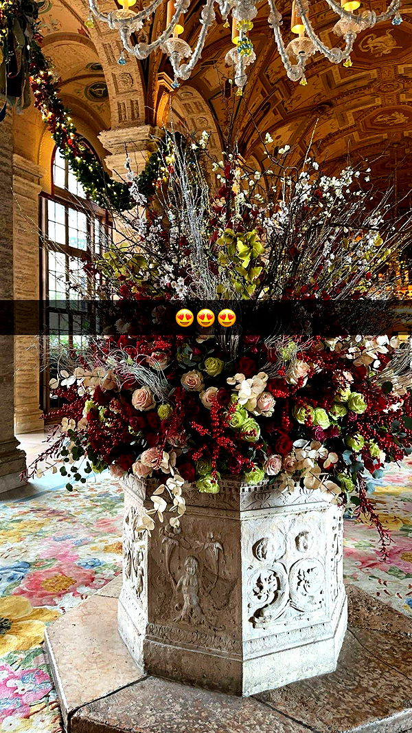 kylaayese image ~ Altpins