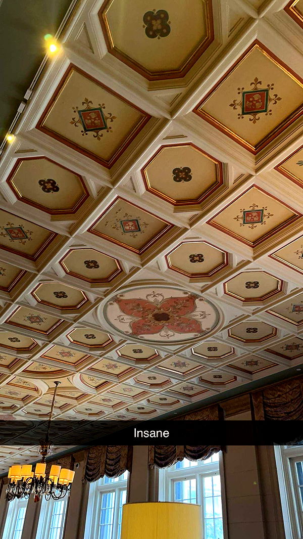 kylaayese image ~ Altpins