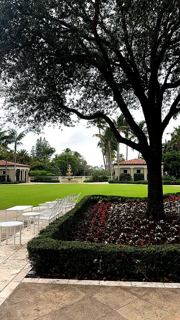 kylaayese image ~ Altpins