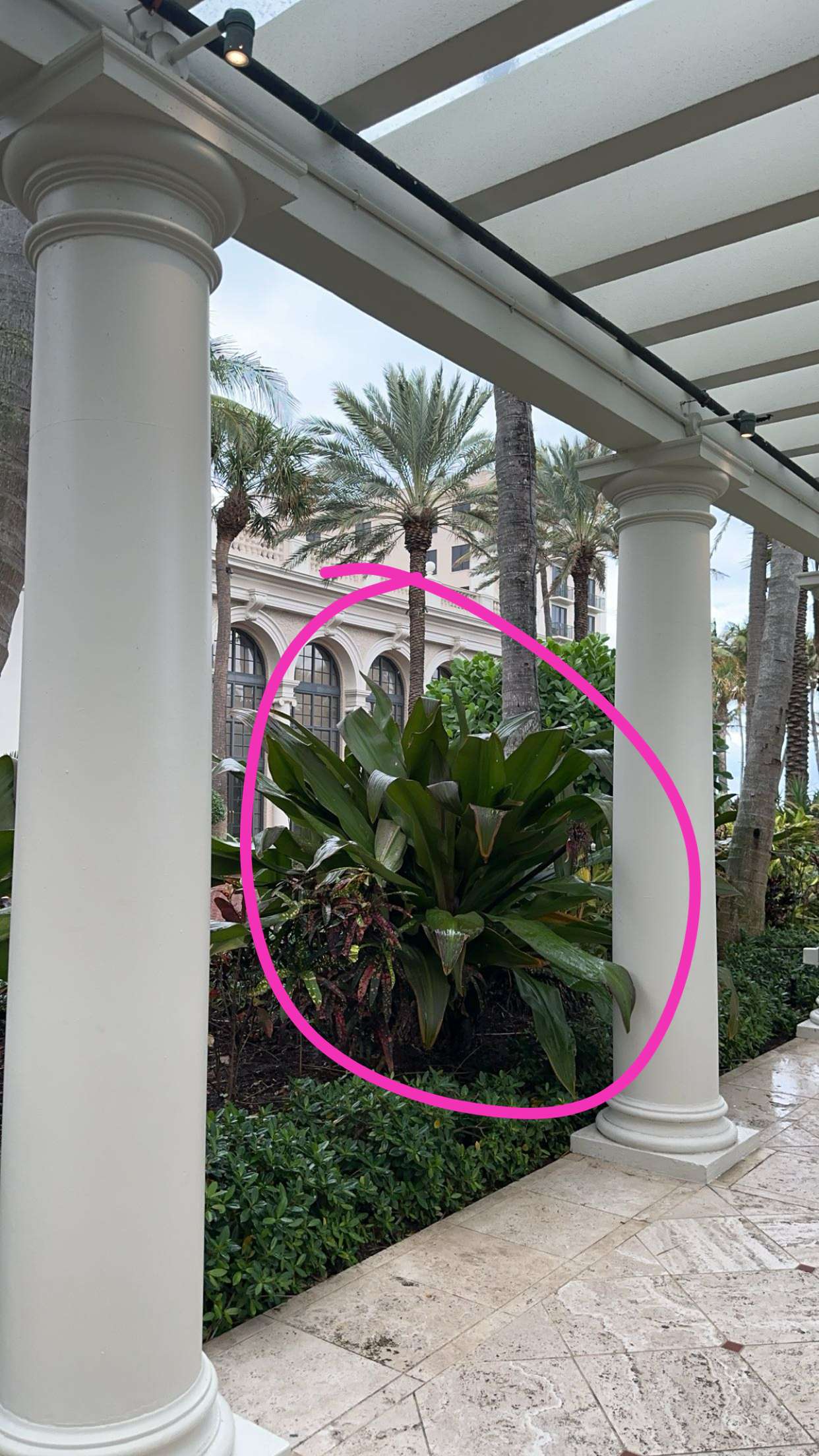 kylaayese snapchat image archive image