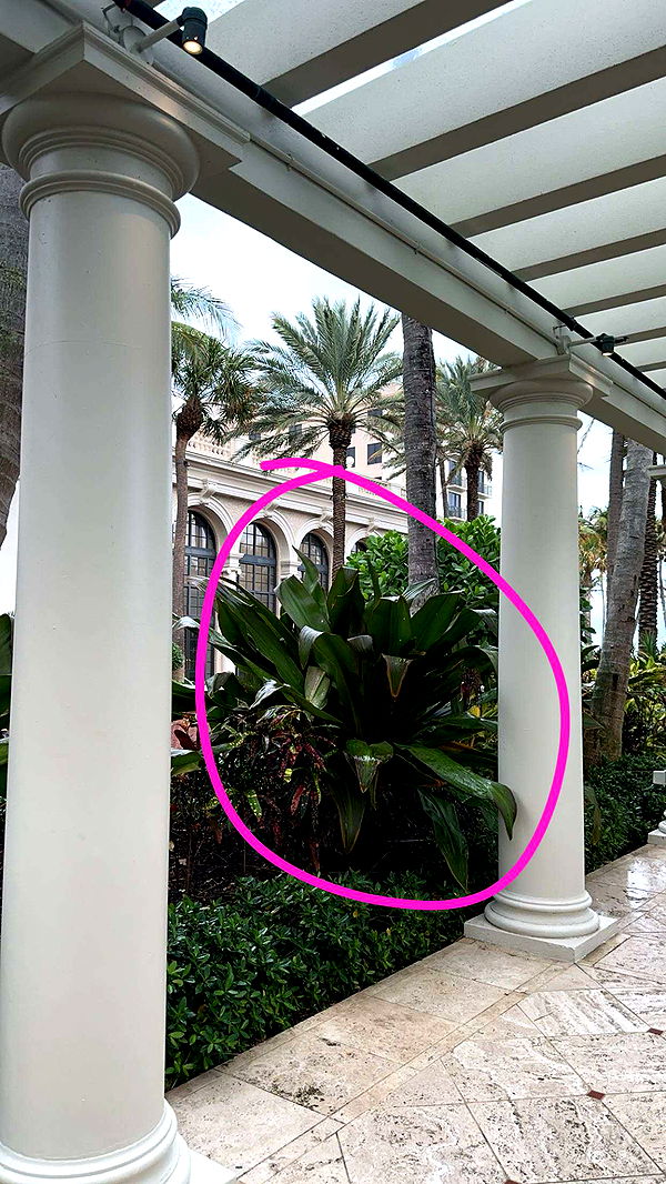 kylaayese image ~ Altpins