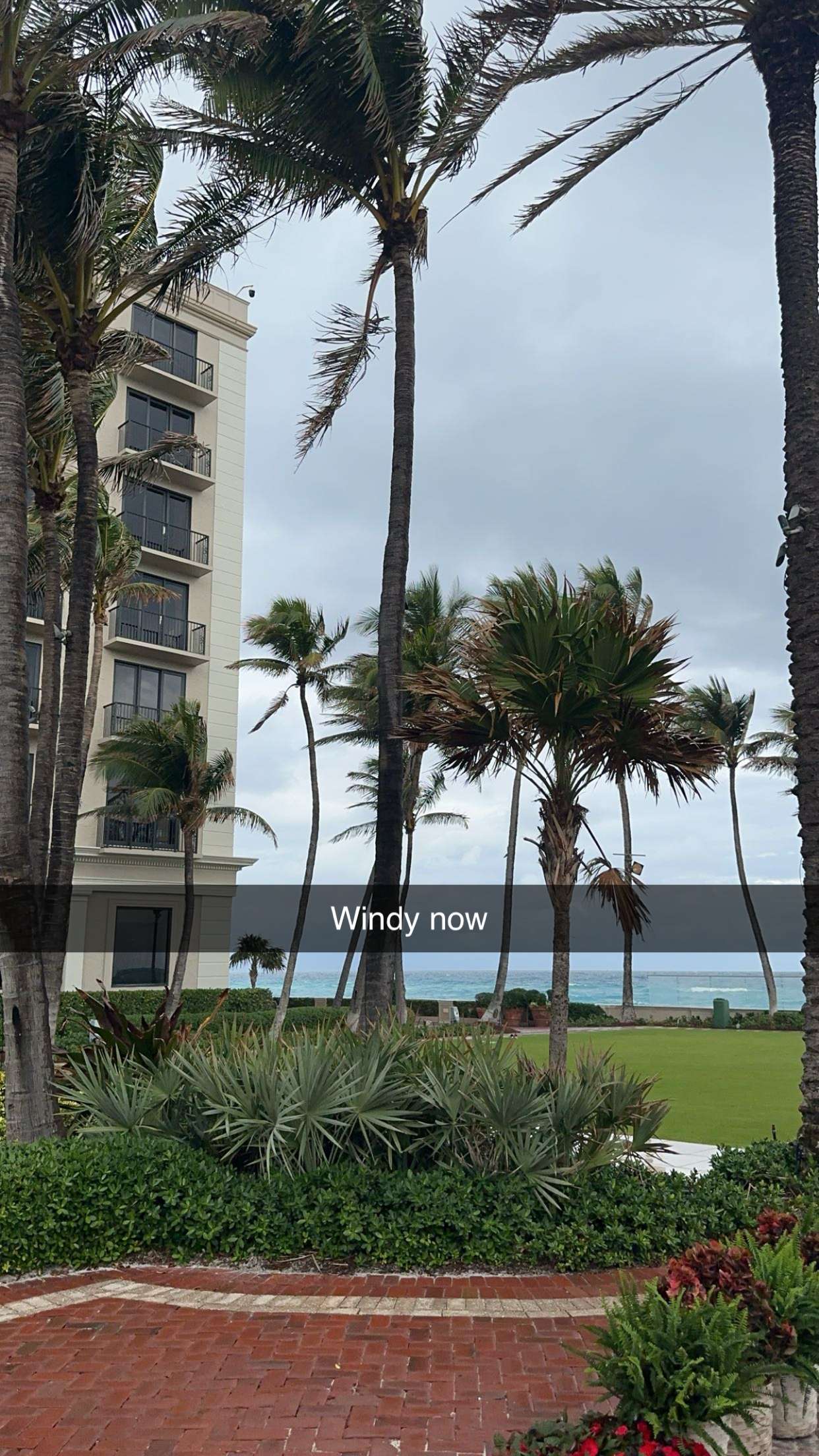 kylaayese snapchat image archive image