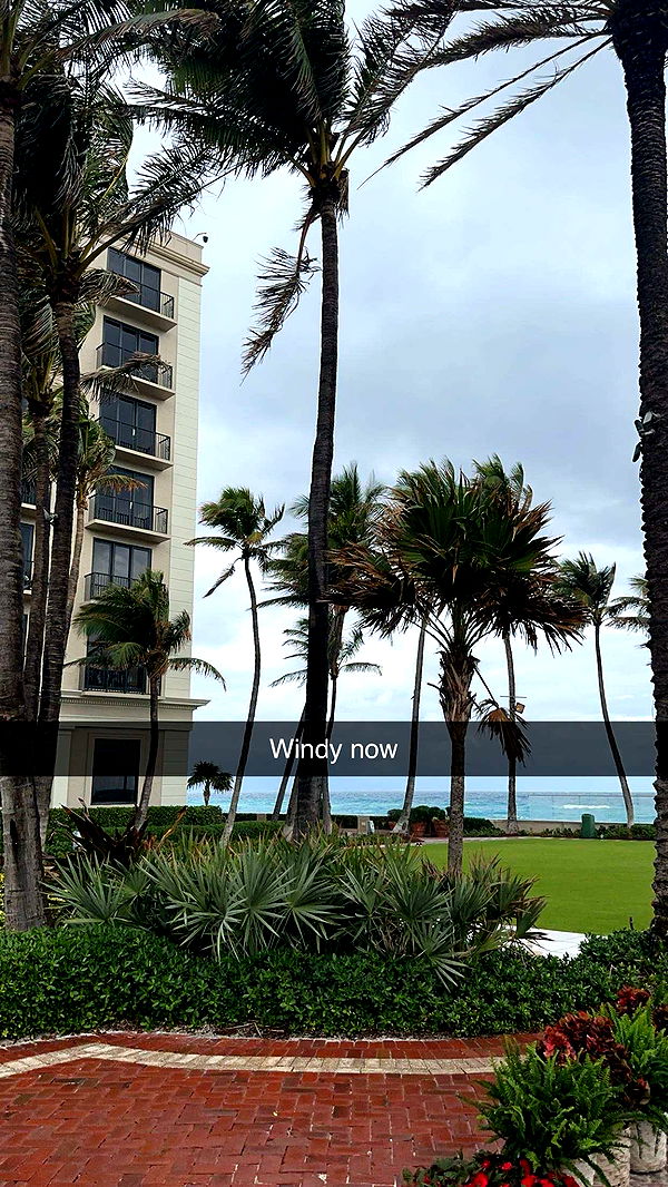 kylaayese image ~ Altpins