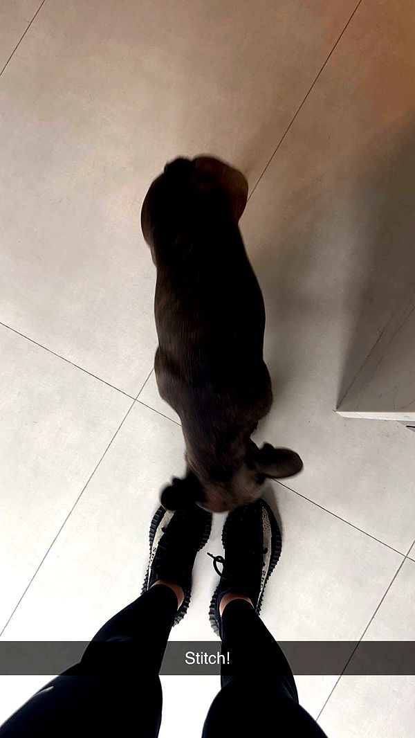 kylaayese image ~ Altpins