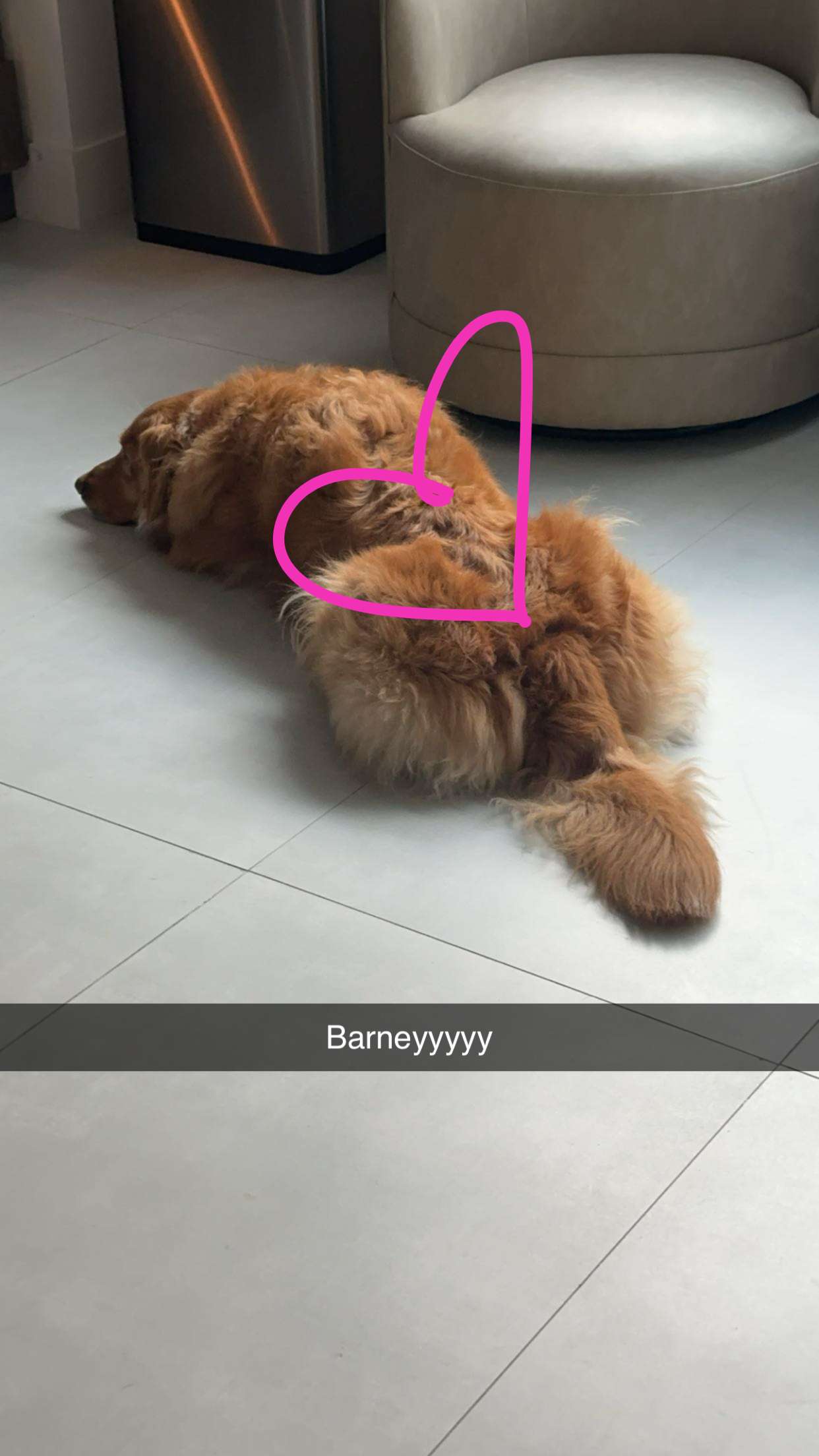 kylaayese snapchat image archive image