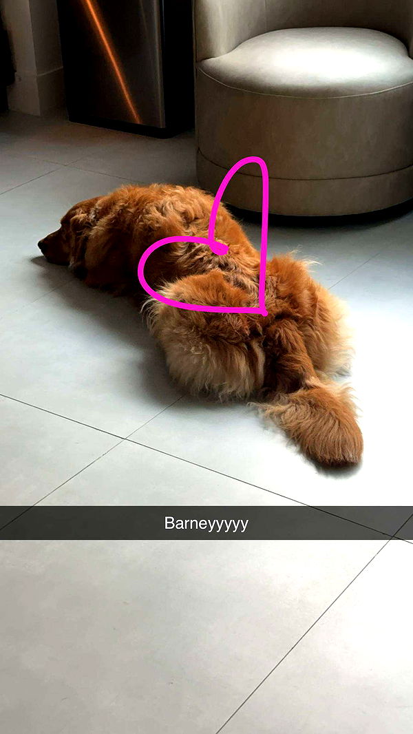 kylaayese image ~ Altpins