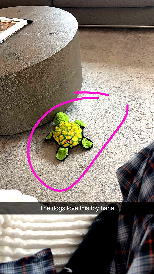 kylaayese image ~ Altpins