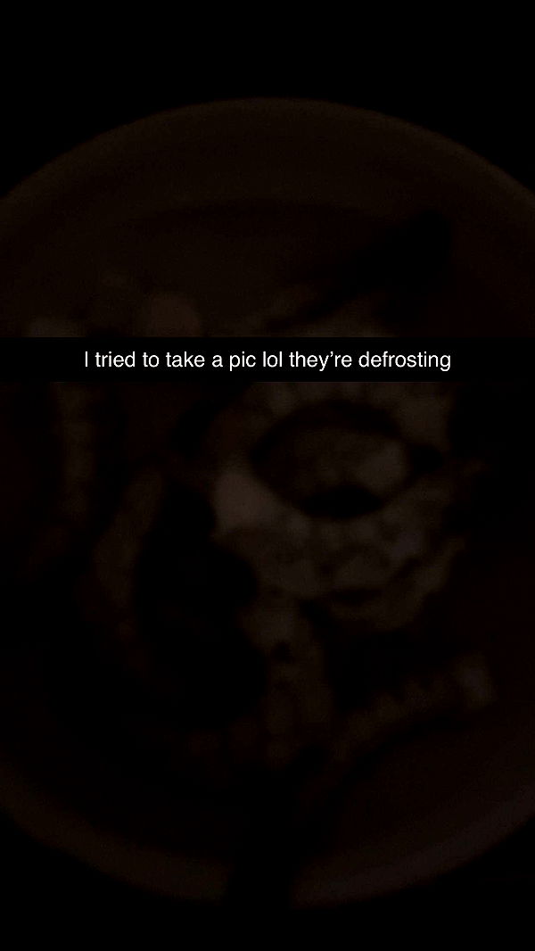 kylaayese image ~ Altpins