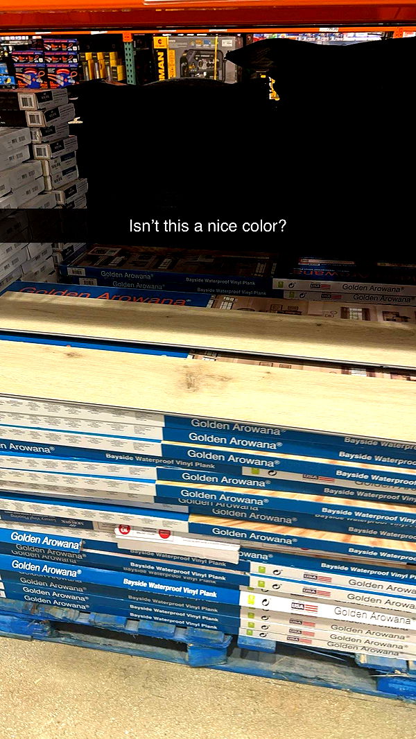 kylaayese image ~ Altpins