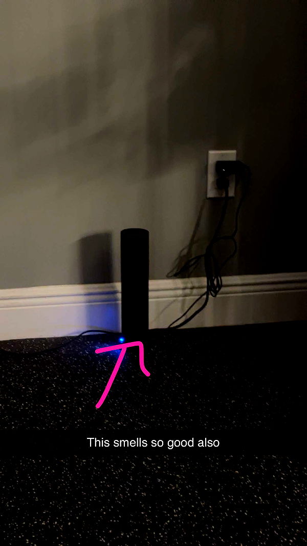 kylaayese image ~ Altpins