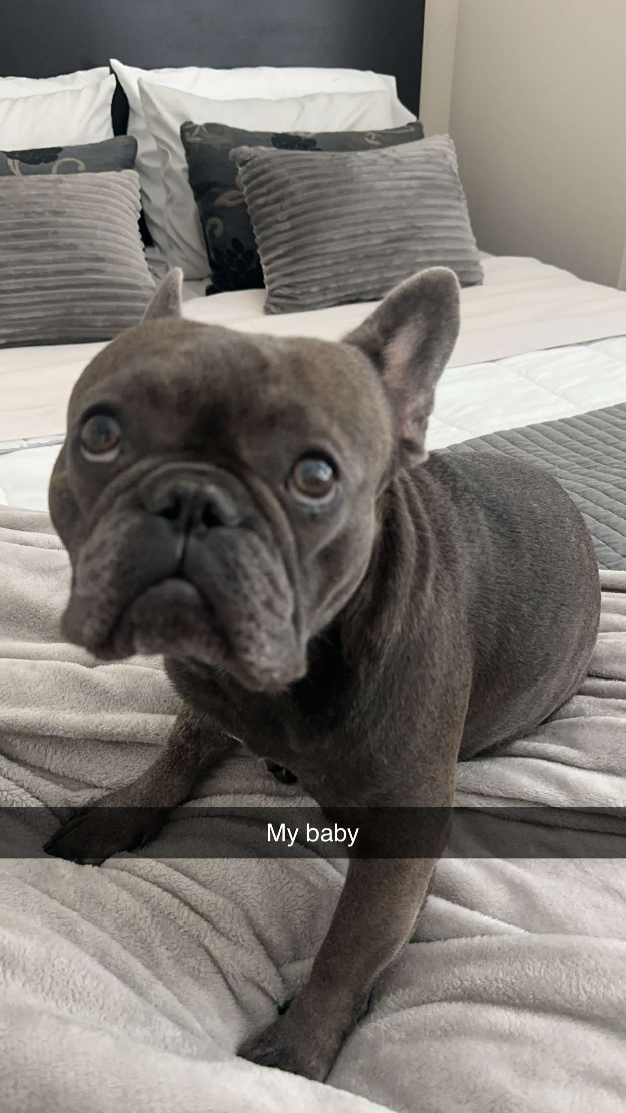 kylaayese snapchat image archive image