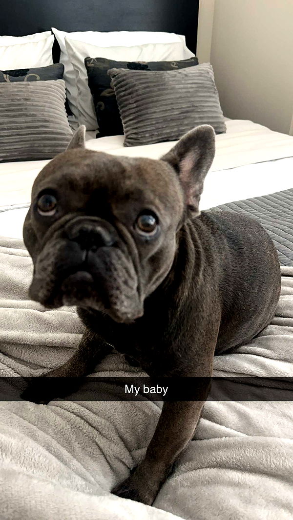 kylaayese image ~ Altpins