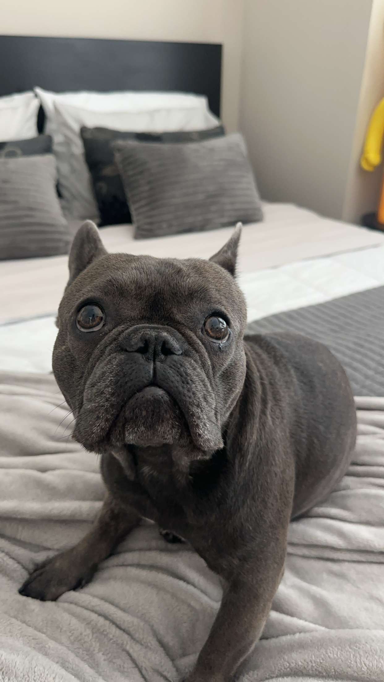 kylaayese snapchat image archive image