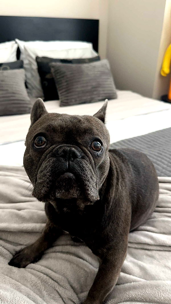 kylaayese image ~ Altpins