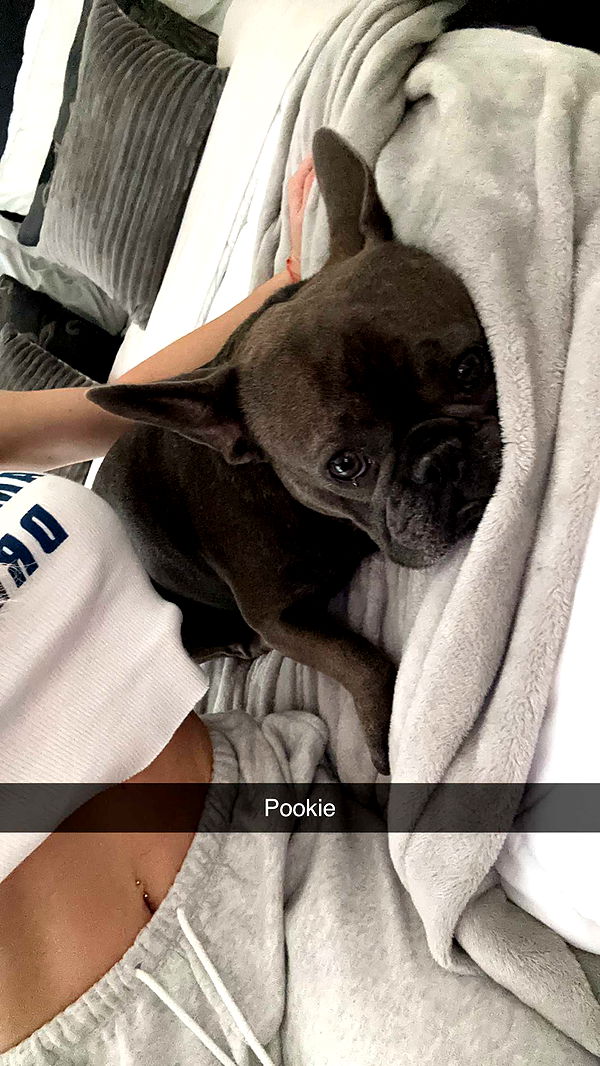 kylaayese image ~ Altpins