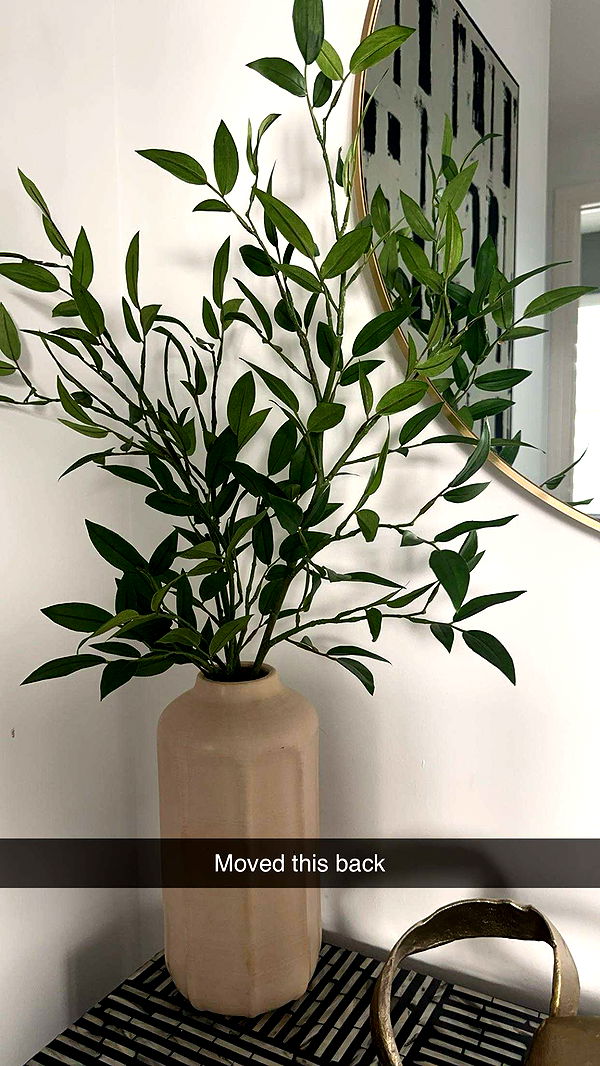 kylaayese image ~ Altpins