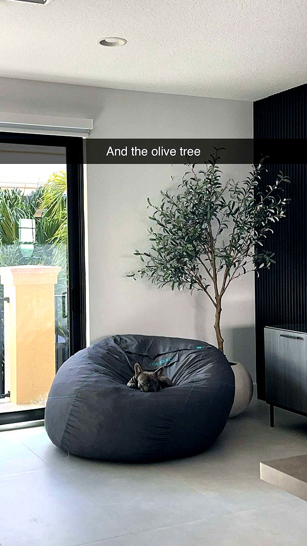 kylaayese image ~ Altpins