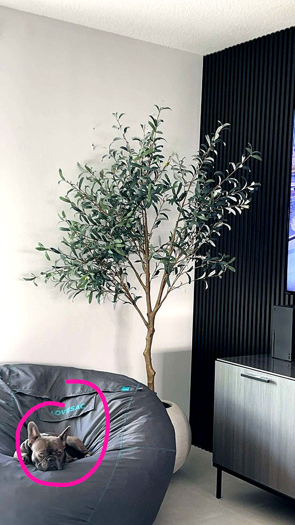 kylaayese image ~ Altpins