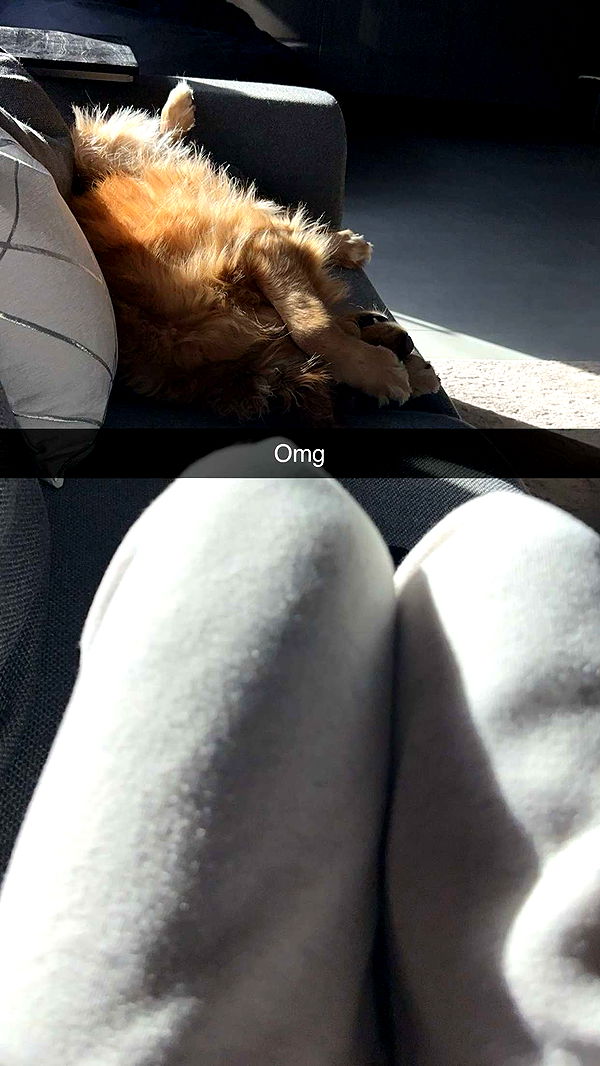 kylaayese image ~ Altpins