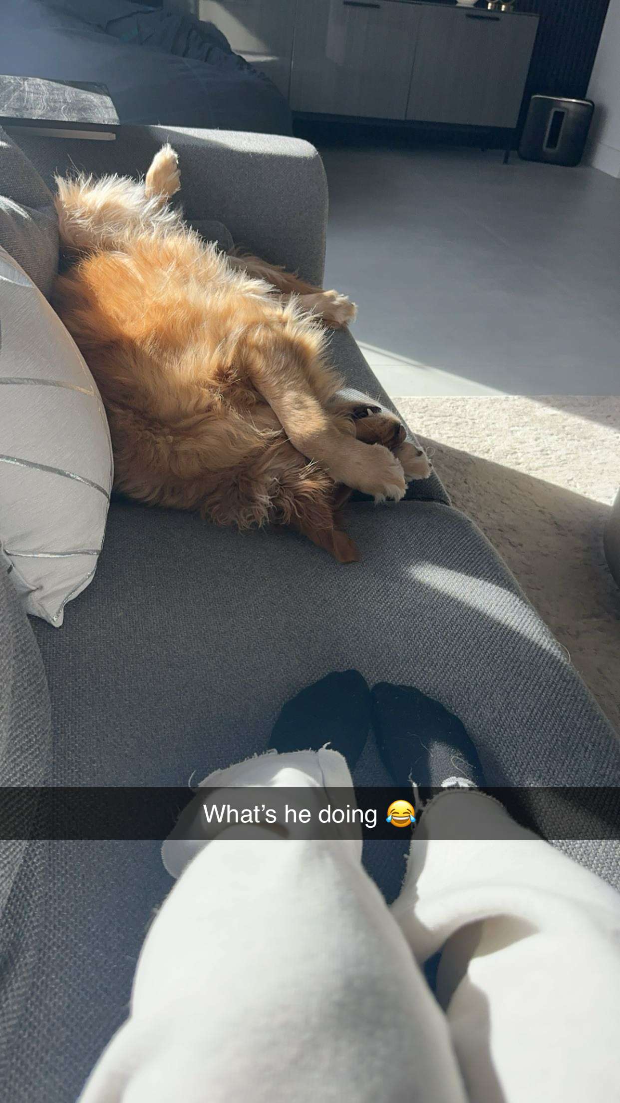 kylaayese snapchat image archive image