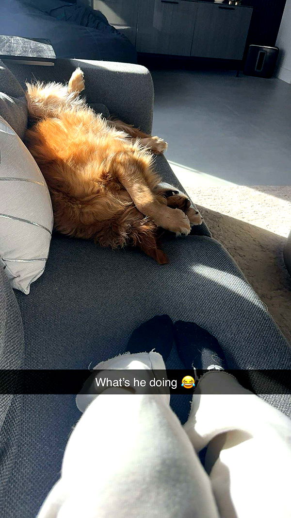 kylaayese image ~ Altpins