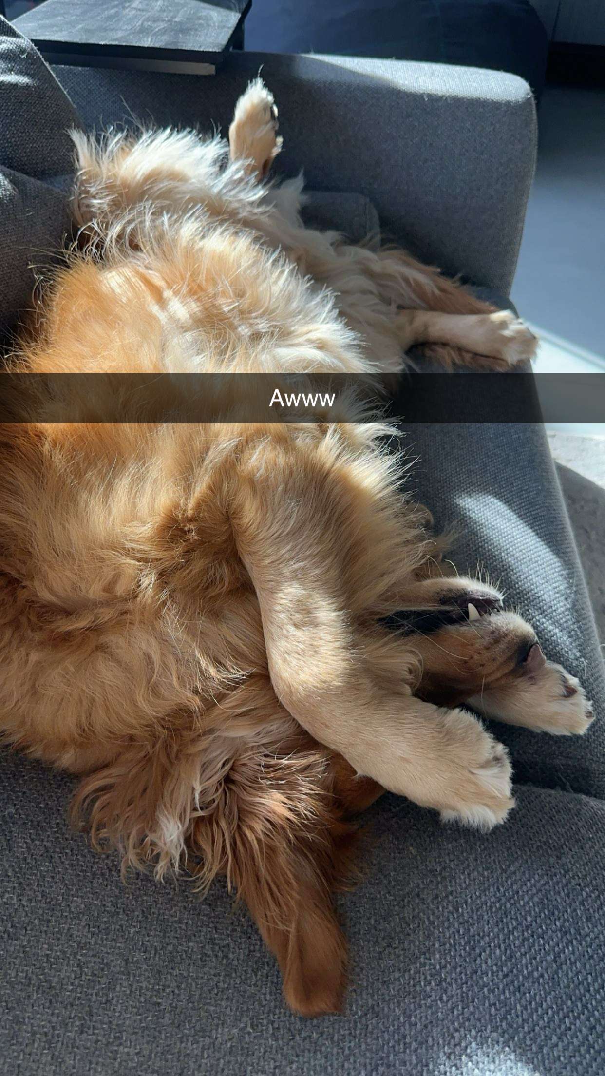 kylaayese snapchat image archive image