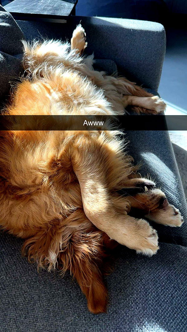 kylaayese image ~ Altpins