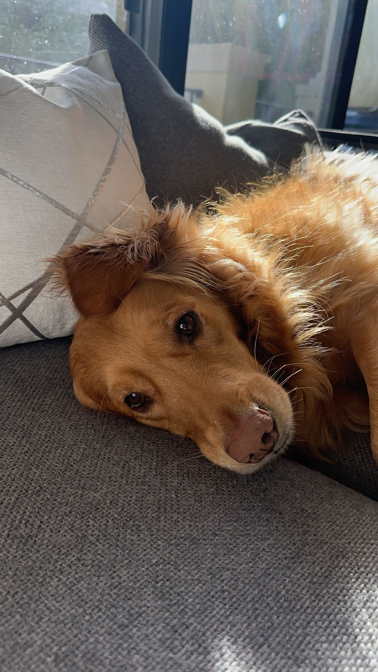 kylaayese snapchat image archive image