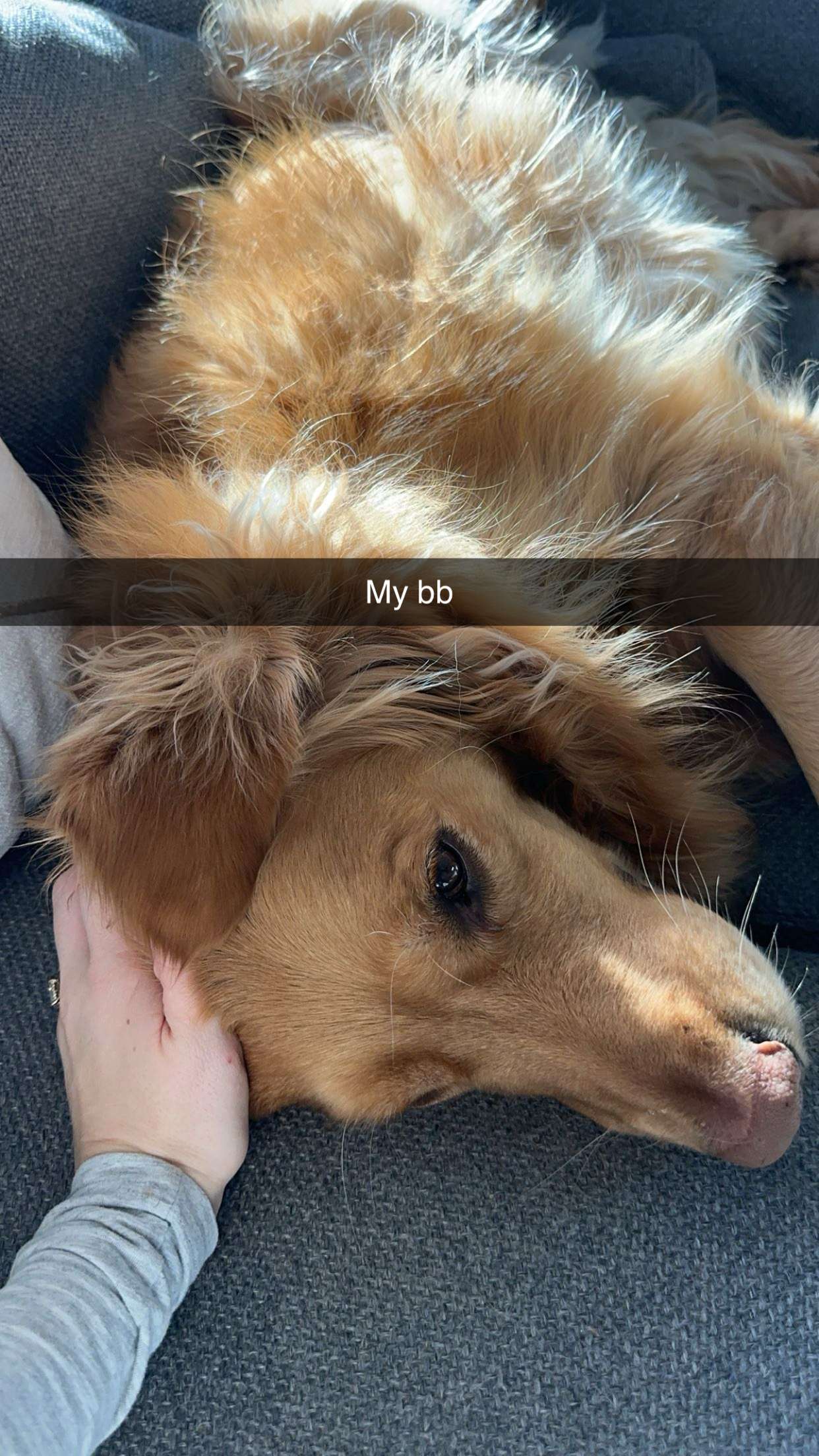 kylaayese snapchat image archive image