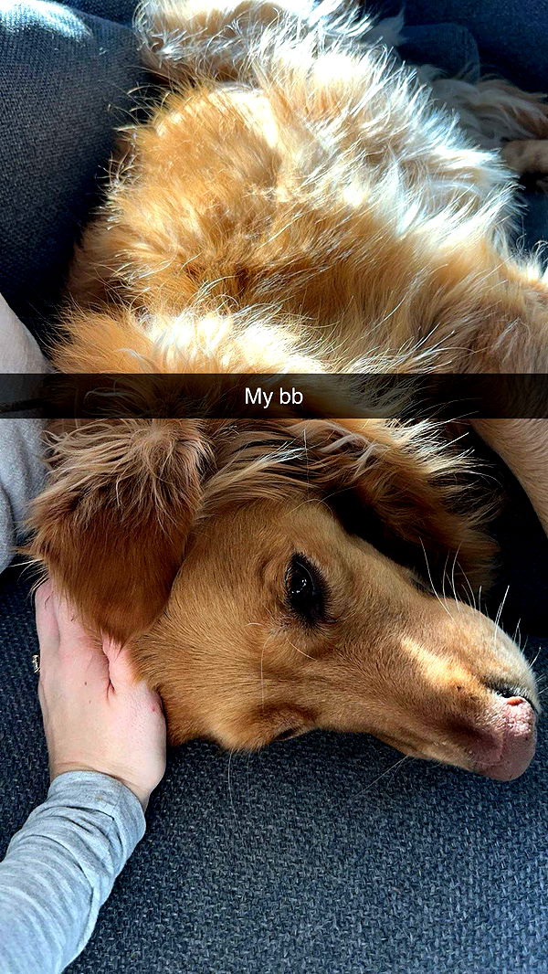 kylaayese image ~ Altpins