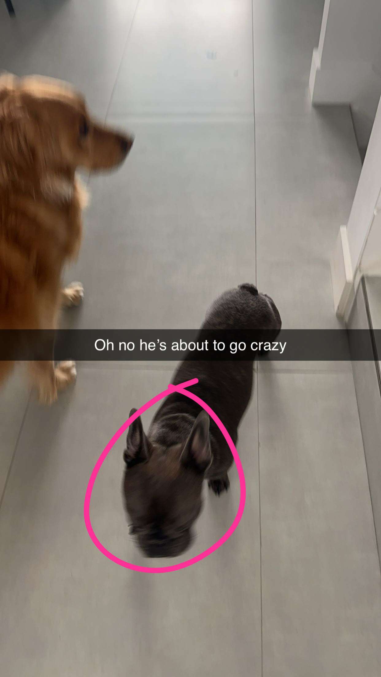 kylaayese snapchat image archive image