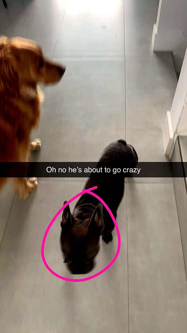 kylaayese image ~ Altpins