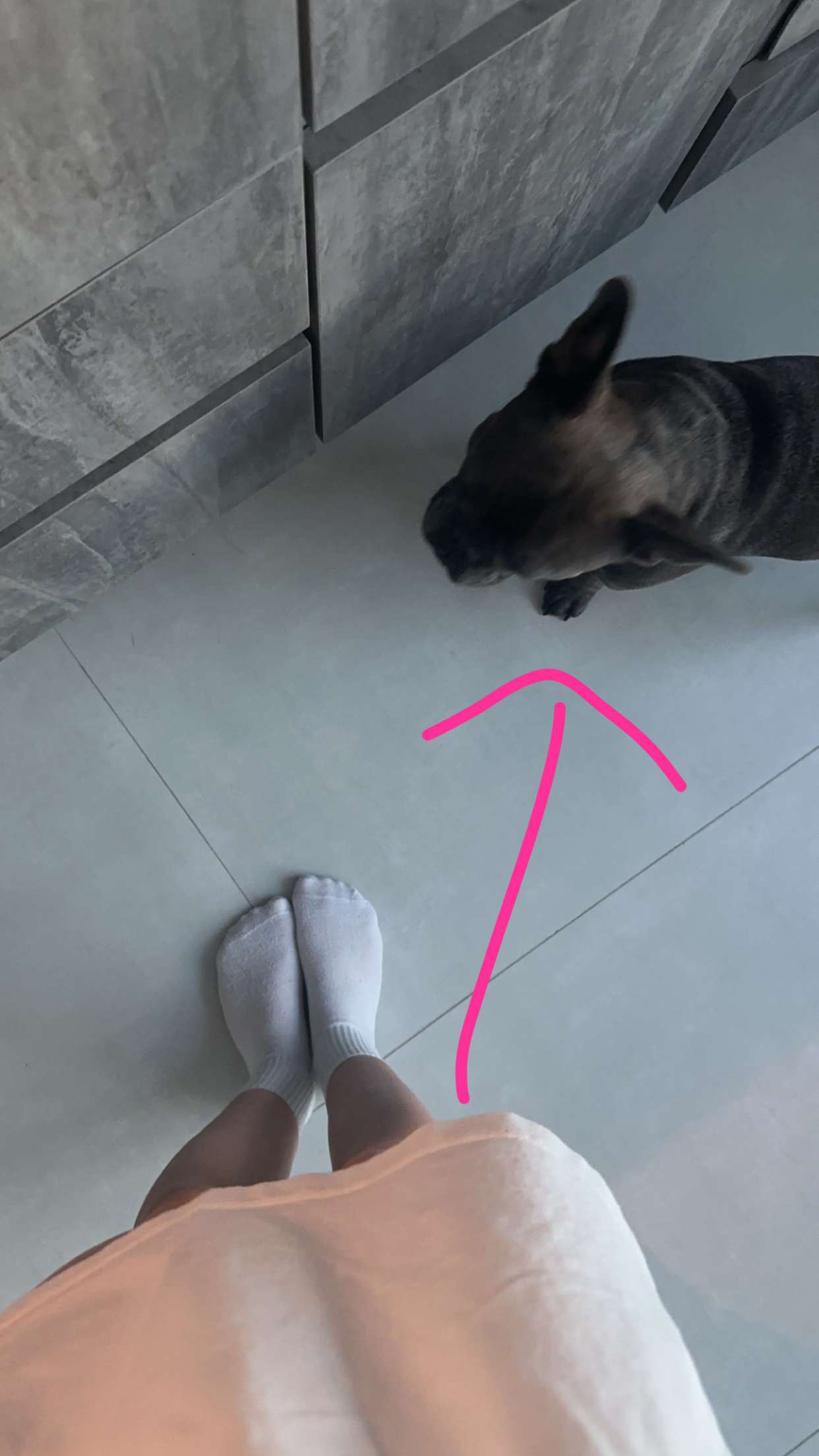 kylaayese snapchat image archive image