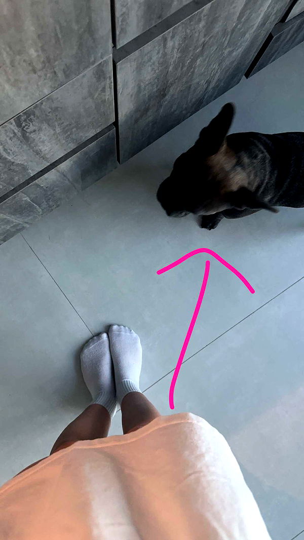 kylaayese image ~ Altpins