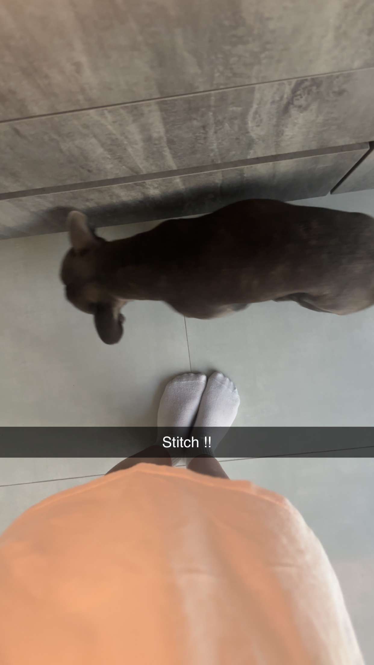 kylaayese snapchat image archive image