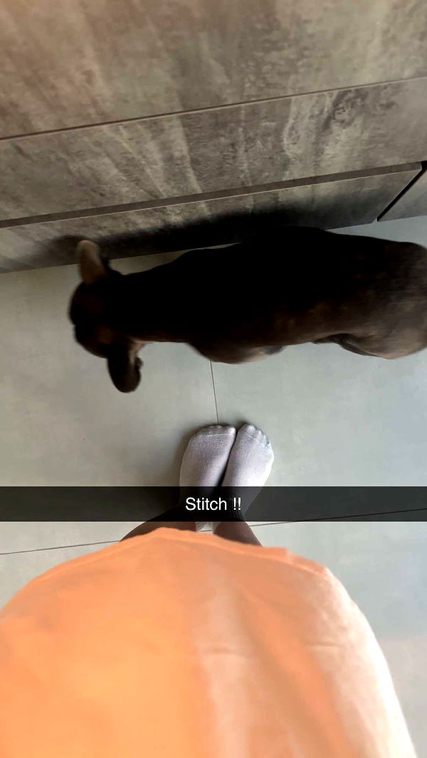 kylaayese image ~ Altpins