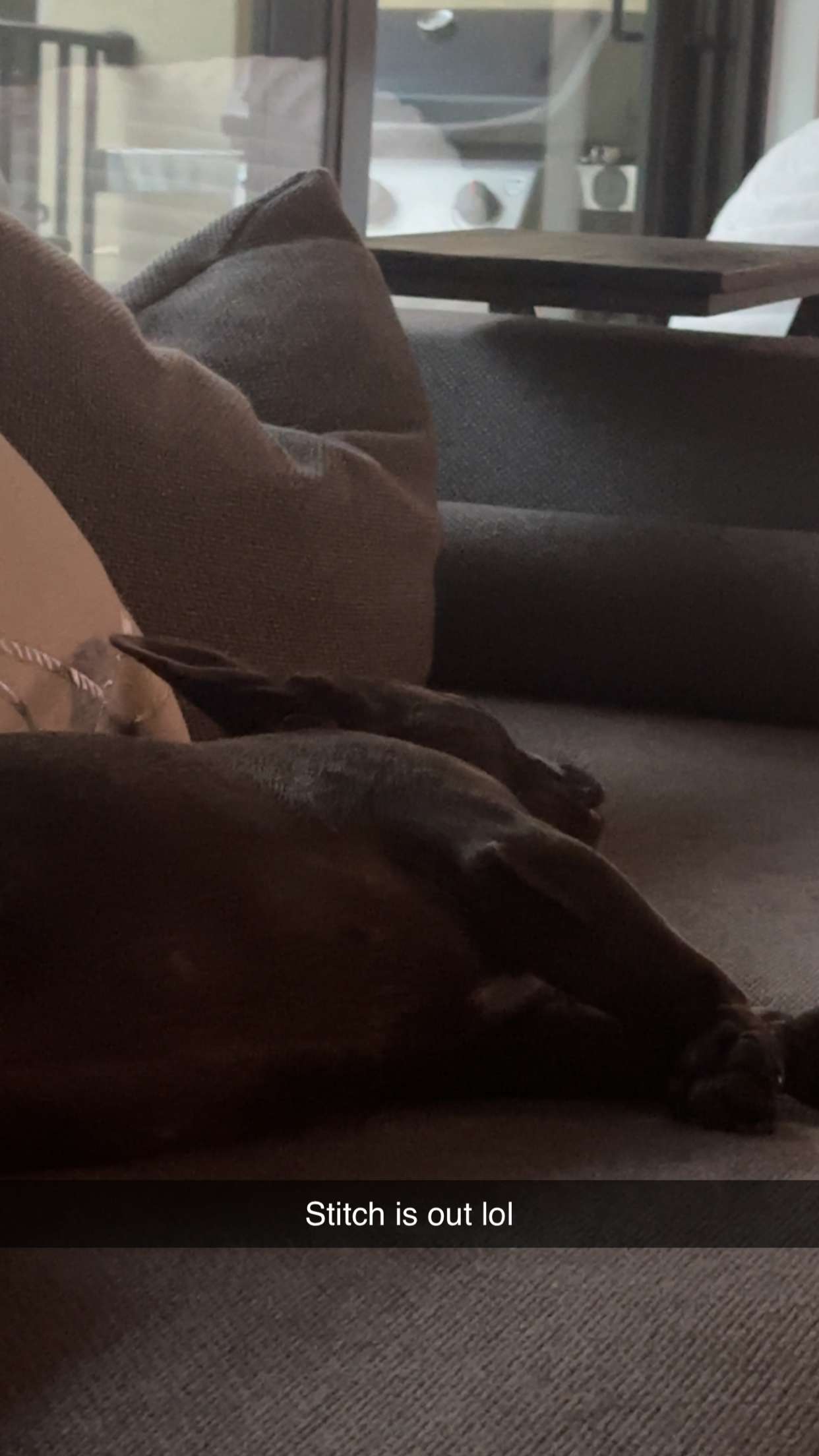 kylaayese snapchat image archive image