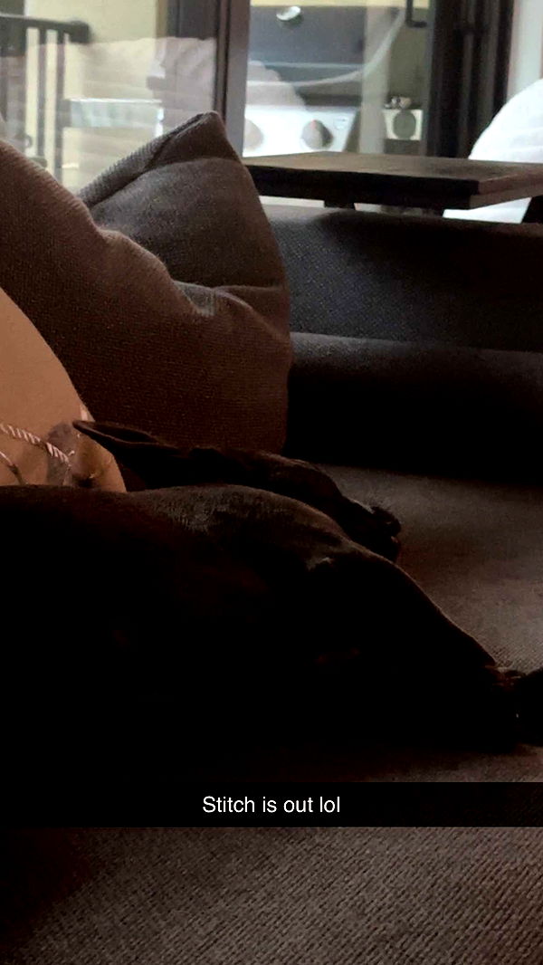 kylaayese image ~ Altpins