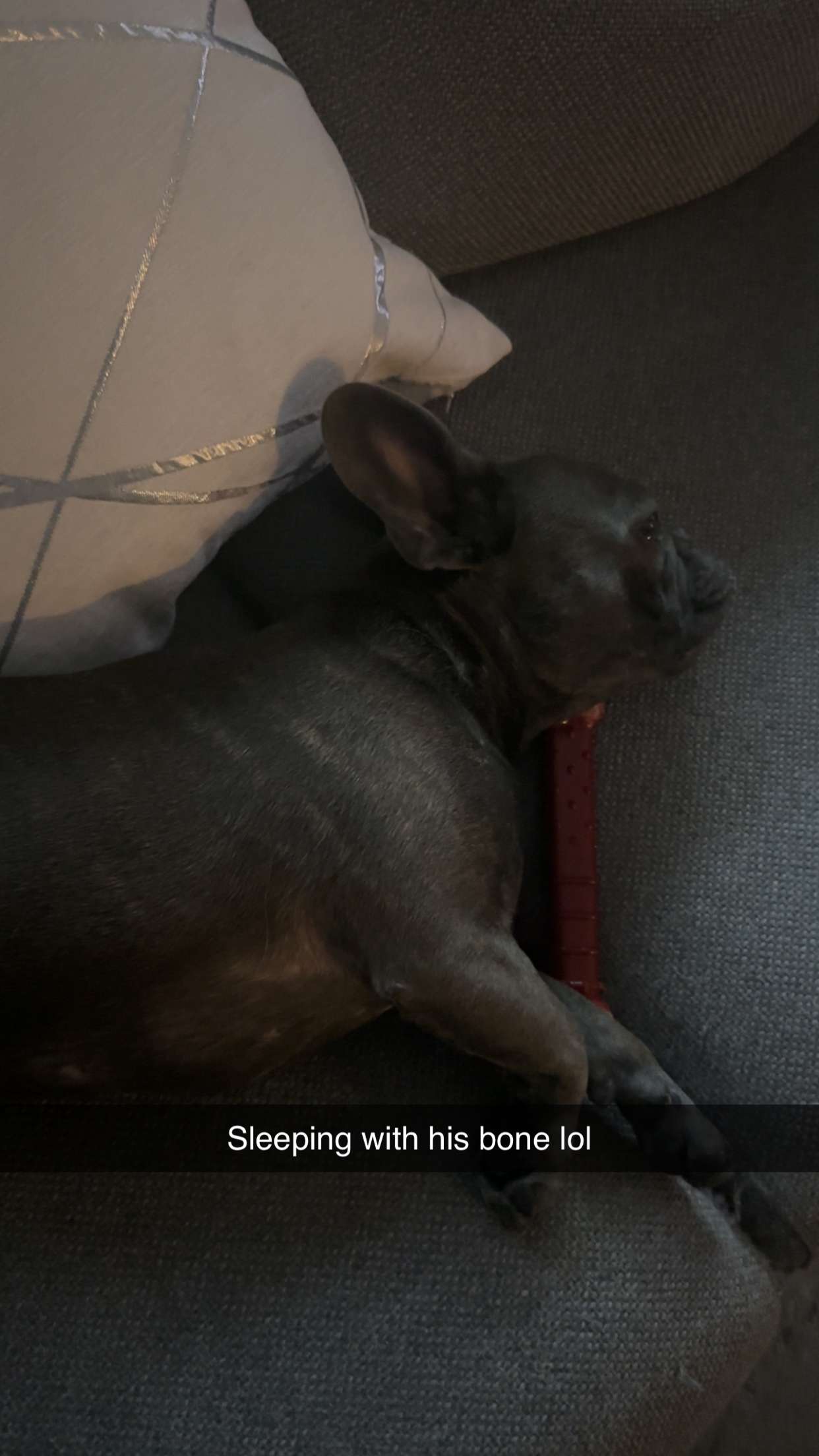 kylaayese snapchat image archive image